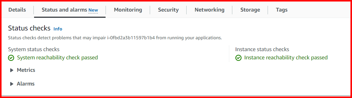 Picture showing the Status checks tab of the EC2 details screen